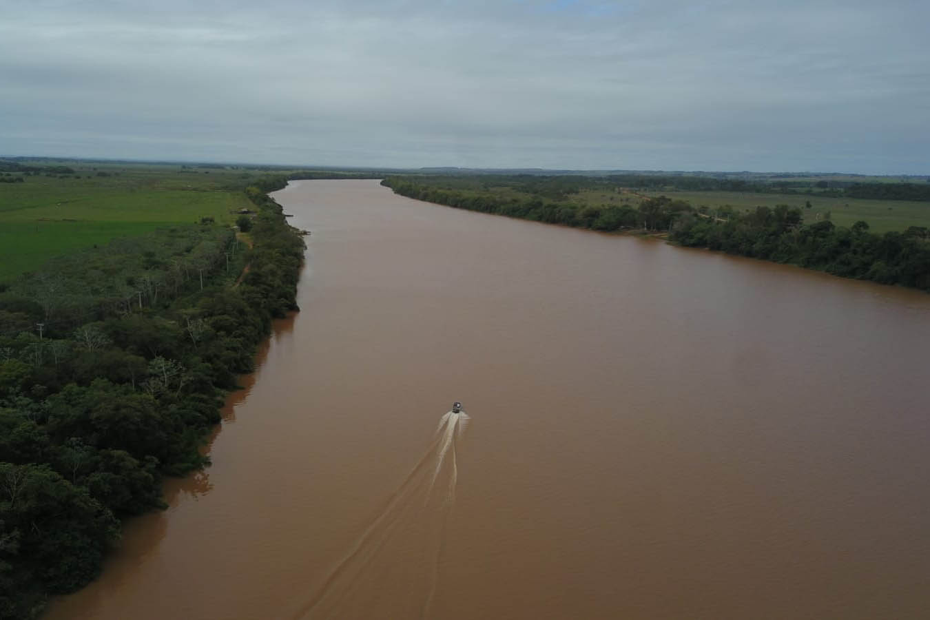 IVAÍ - Projeto Rio Vivo atinge a marca de 1,76 milhão de peixes nativos soltos nas Bacias Hidrográficas do Paraná - 