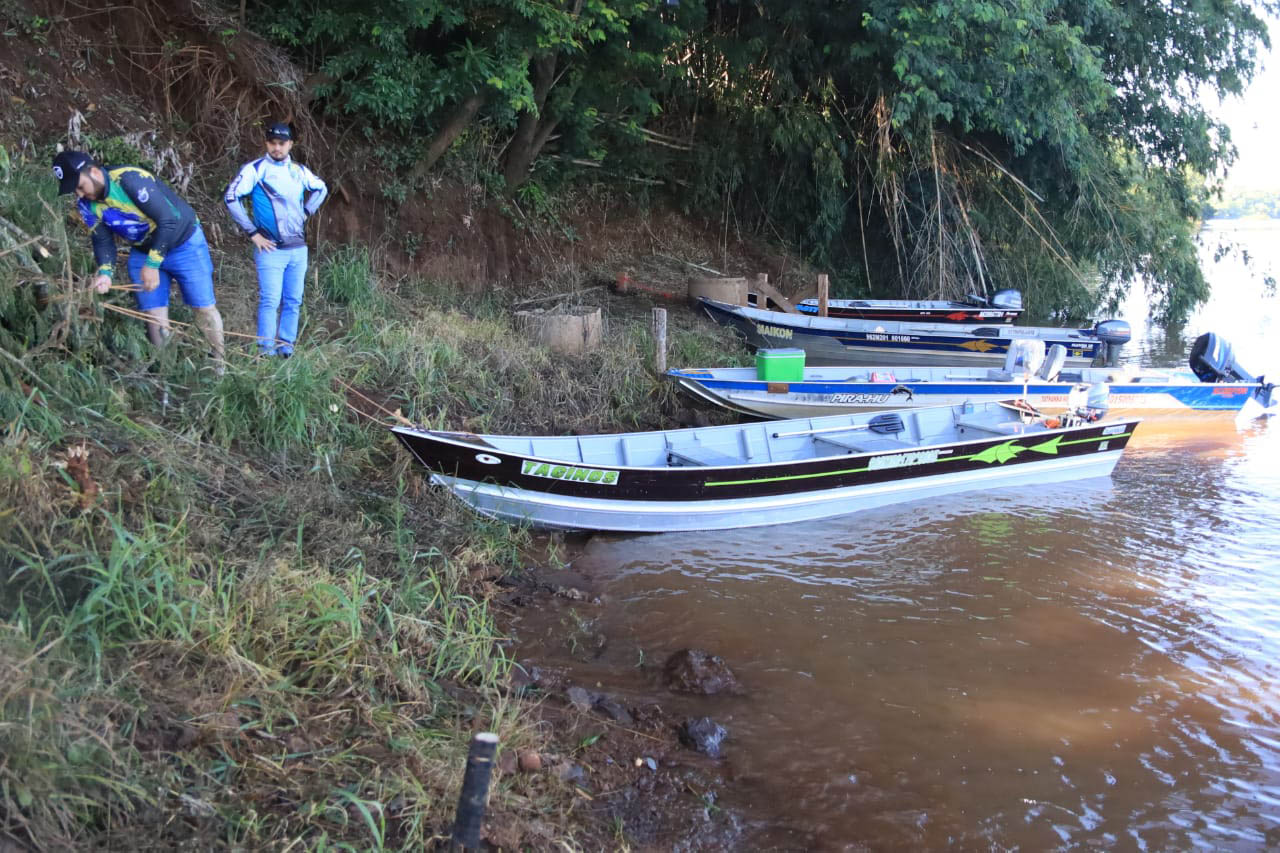 PIQUIRI  -  Projeto Rio Vivo atinge a marca de 1,76 milhão de peixes nativos soltos nas Bacias Hidrográficas do Paraná - 