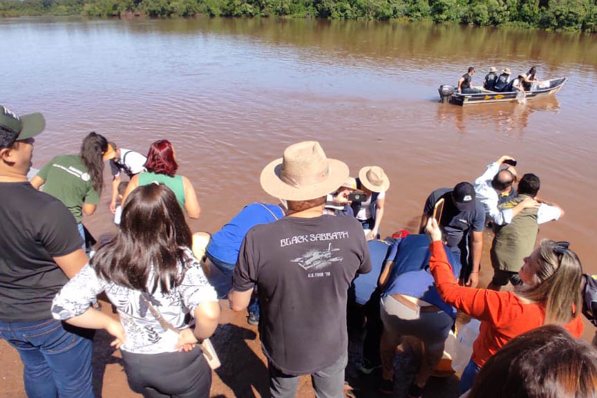 PIQUIRI  -  Projeto Rio Vivo atinge a marca de 1,76 milhão de peixes nativos soltos nas Bacias Hidrográficas do Paraná - 