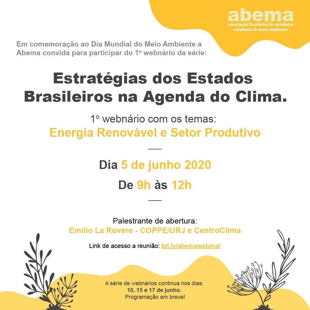 estrategias dos estados brasileiros na agenda do clima