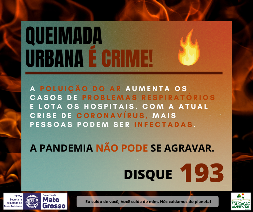 queimada urbana e crime