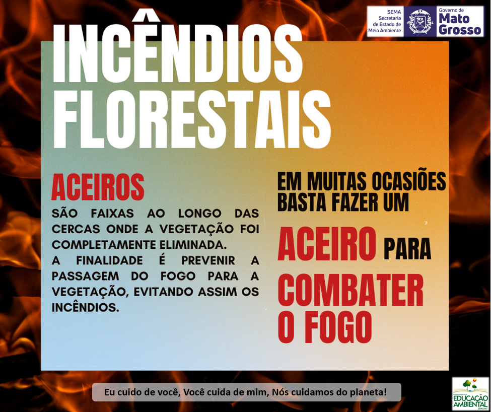 INCÊNDIOS 02