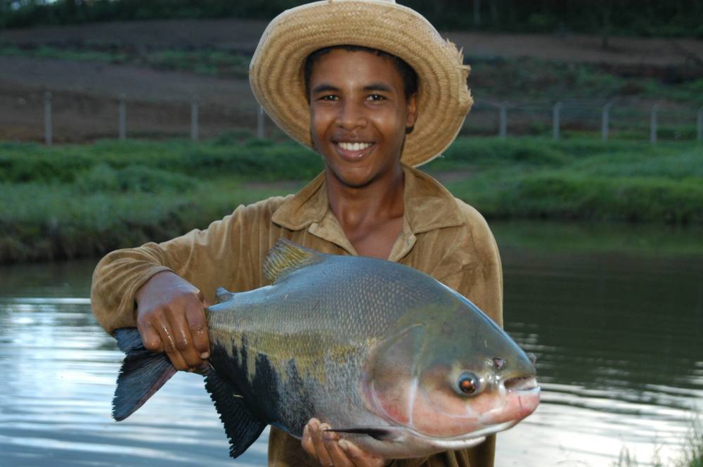 Piscicultura no Tocantins Foto Acervo Seagro