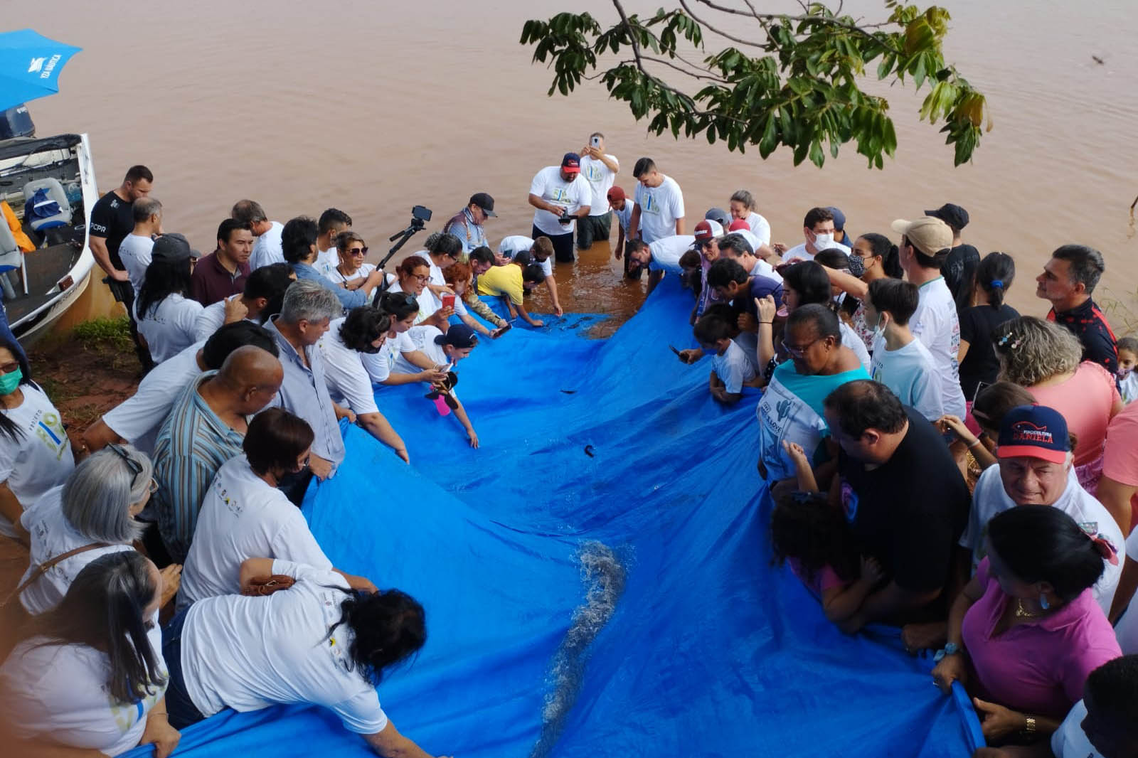 Projeto Rio Vivo atinge a marca de 1,76 milhão de peixes nativos soltos nas Bacias Hidrográficas do Paraná - 